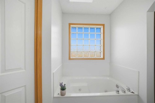 101 Coville Crescent Ne, Calgary, AB - Indoor Photo Showing Bathroom