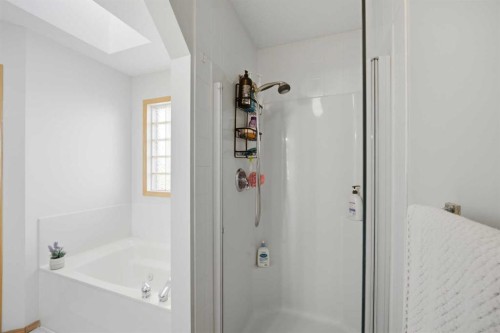 101 Coville Crescent Ne, Calgary, AB - Indoor Photo Showing Bathroom