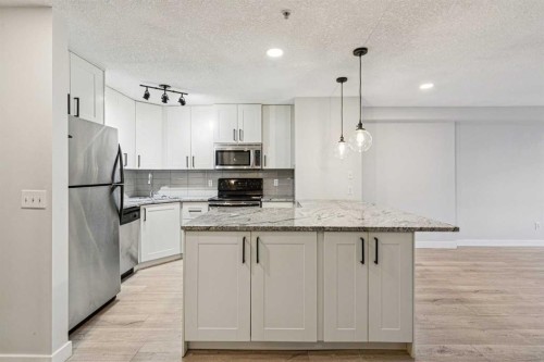 304-317 19 Avenue Sw, Calgary, AB - Indoor Photo Showing Kitchen With Upgraded Kitchen
