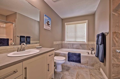 732 Hampton Hills Drive Ne, High River, AB - Indoor Photo Showing Bathroom