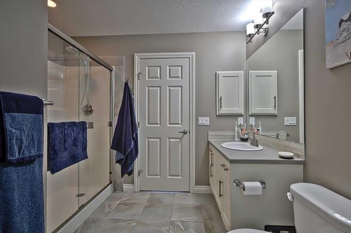 732 Hampton Hills Drive Ne, High River, AB - Indoor Photo Showing Bathroom
