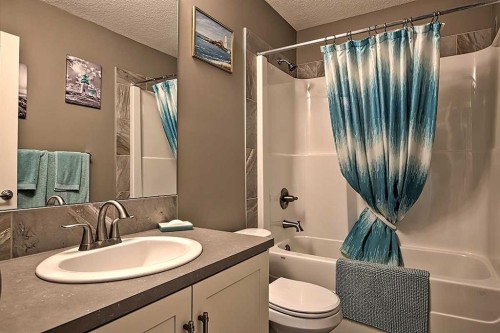 732 Hampton Hills Drive Ne, High River, AB - Indoor Photo Showing Bathroom