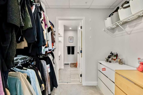 208-255 Les Jardins Park Se, Calgary, AB - Indoor With Storage