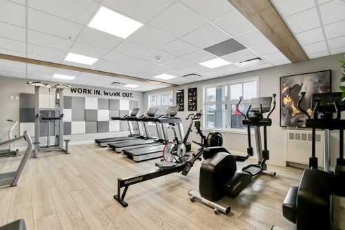208-255 Les Jardins Park Se, Calgary, AB - Indoor Photo Showing Gym Room