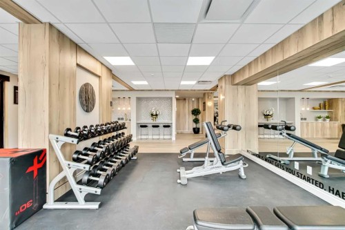 208-255 Les Jardins Park Se, Calgary, AB - Indoor Photo Showing Gym Room
