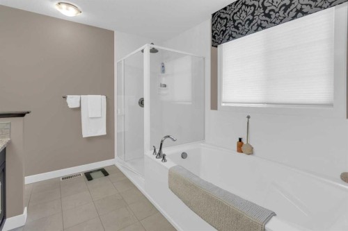 172 Ridge View Close, Cochrane, AB - Indoor Photo Showing Bathroom