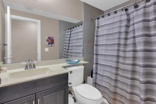 172 Ridge View Close, Cochrane, AB - Indoor Photo Showing Bathroom