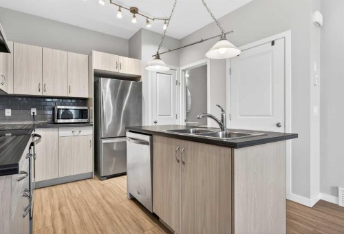 1607 2 Street Nw, Calgary, AB - Indoor Photo Showing Kitchen With Double Sink