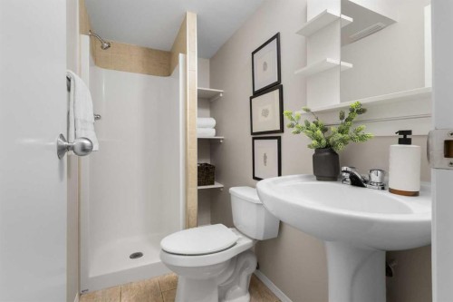 282 Prestwick Circle Se, Calgary, AB - Indoor Photo Showing Bathroom