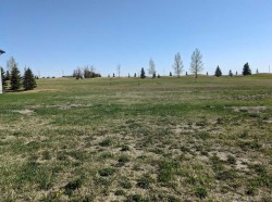 721 Fairways Drive Vulcan, AB T0L 2B0