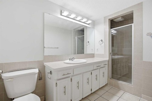 187 Templeton Circle Ne, Calgary, AB - Indoor Photo Showing Bathroom