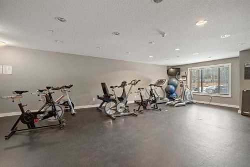 111-300 Palliser, Canmore, AB - Indoor Photo Showing Gym Room