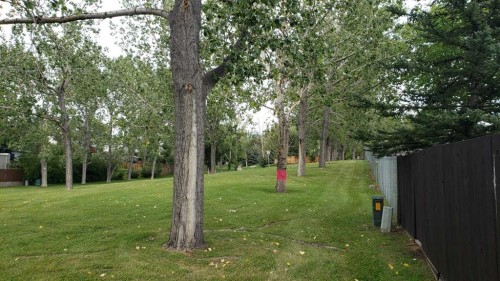 5801/ 5803 Dalgleish Road Nw, Calgary, AB 