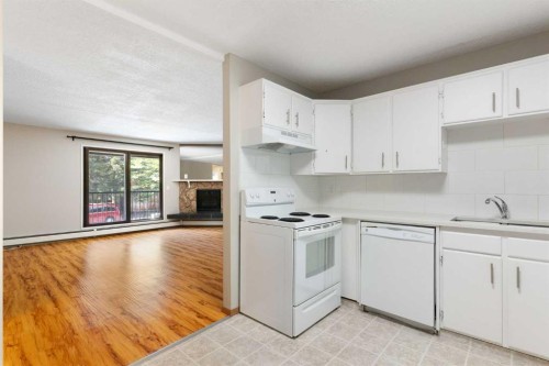 3101-4001C 49 Street Nw, Calgary, AB - Indoor Photo Showing Kitchen With Double Sink