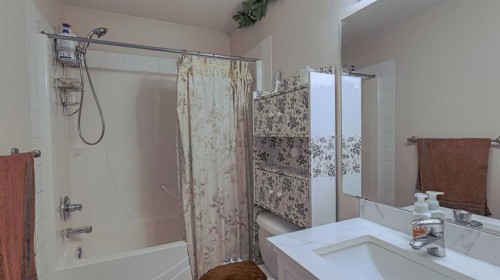 54 Saddlecreek Crescent Ne, Calgary, AB - Indoor Photo Showing Bathroom