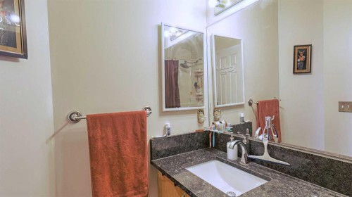 54 Saddlecreek Crescent Ne, Calgary, AB - Indoor Photo Showing Bathroom