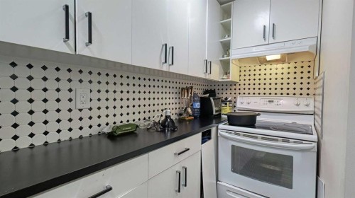 54 Saddlecreek Crescent Ne, Calgary, AB - Indoor Photo Showing Kitchen