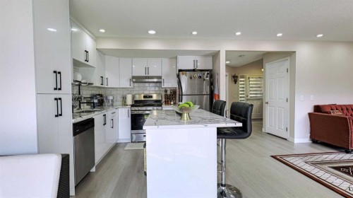 54 Saddlecreek Crescent Ne, Calgary, AB - Indoor Photo Showing Kitchen With Stainless Steel Kitchen With Upgraded Kitchen