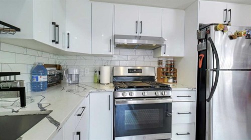 54 Saddlecreek Crescent Ne, Calgary, AB - Indoor Photo Showing Kitchen With Stainless Steel Kitchen With Upgraded Kitchen