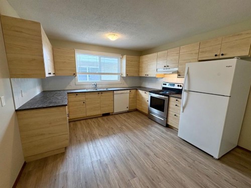 4828 Varsity Drive Nw, Calgary, AB - Indoor Photo Showing Kitchen With Double Sink