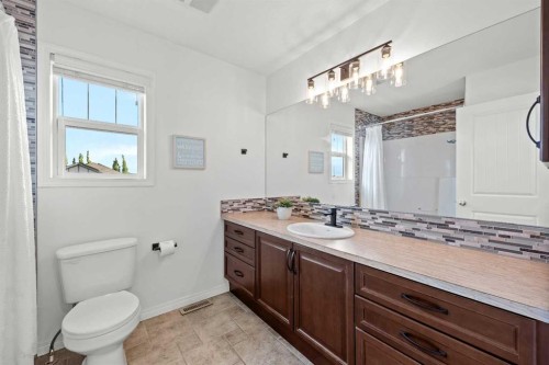 318 Coopers Drive Sw, Airdrie, AB - Indoor Photo Showing Bathroom