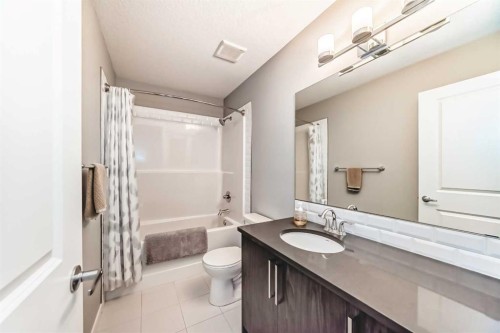 984 Seton Circle Se, Calgary, AB - Indoor Photo Showing Bathroom