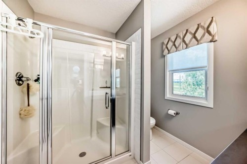 984 Seton Circle Se, Calgary, AB - Indoor Photo Showing Bathroom