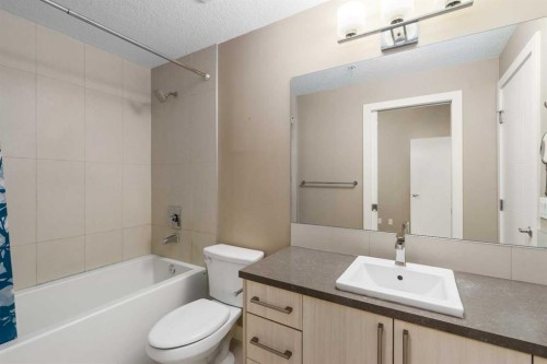 316-93 34 Avenue Sw, Calgary, AB - Indoor Photo Showing Bathroom