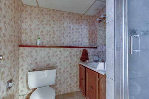 123 Nolan Street, Red Deer, AB - Indoor Photo Showing Bathroom