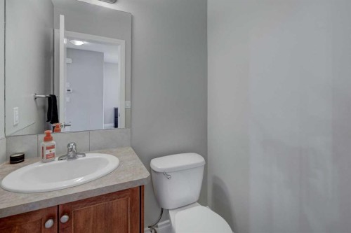 15 Parklane Drive, Strathmore, AB - Indoor Photo Showing Bathroom