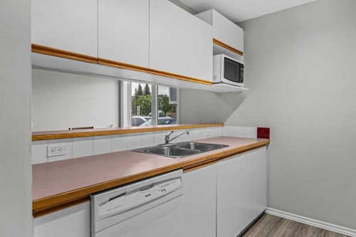 111-1206 Bow Valley Trail, Canmore, AB - Indoor Photo Showing Kitchen With Double Sink