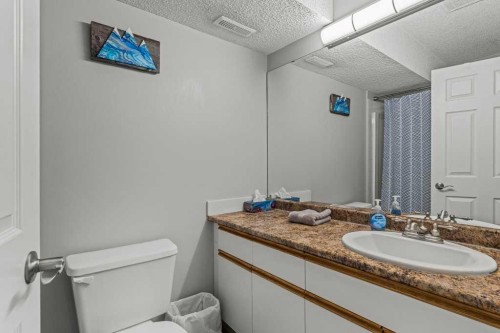 111-1206 Bow Valley Trail, Canmore, AB - Indoor Photo Showing Bathroom