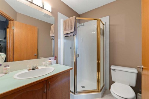 48 Sunridge Crescent Nw, Airdrie, AB - Indoor Photo Showing Bathroom