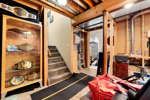 48 Sunridge Crescent Nw, Airdrie, AB - Indoor Photo Showing Basement