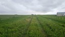 270182 Inverlake Road, Rural Rocky View County, AB 