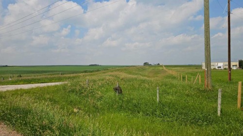 270182 Inverlake Road, Rural Rocky View County, AB 