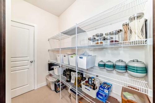 79 Cranford Green Se, Calgary, AB - Indoor With Storage