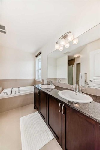 79 Cranford Green Se, Calgary, AB - Indoor Photo Showing Bathroom