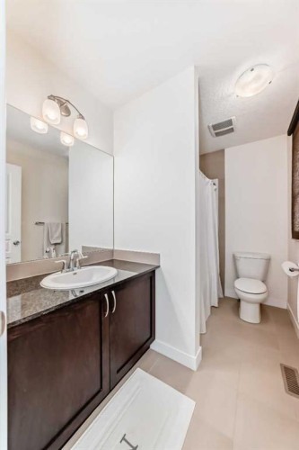 79 Cranford Green Se, Calgary, AB - Indoor Photo Showing Bathroom
