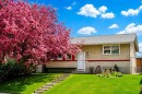 3232 Doverville Crescent Se, Calgary, AB 