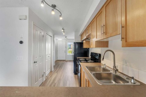312 Saddlebrook Point Ne, Calgary, AB - Indoor Photo Showing Kitchen With Double Sink
