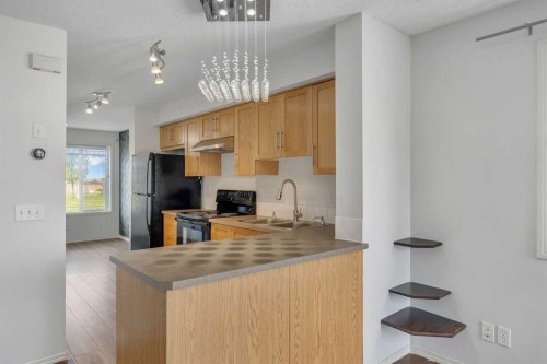 312 Saddlebrook Point Ne, Calgary, AB - Indoor Photo Showing Kitchen With Double Sink