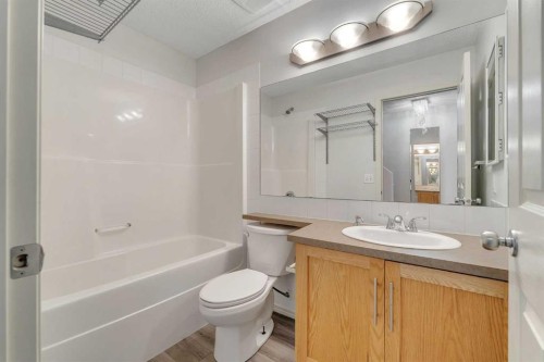 312 Saddlebrook Point Ne, Calgary, AB - Indoor Photo Showing Bathroom