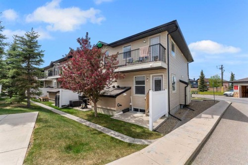 312 Saddlebrook Point Ne, Calgary, AB - Outdoor