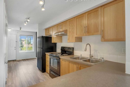 312 Saddlebrook Point Ne, Calgary, AB - Indoor Photo Showing Kitchen With Double Sink