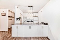 1403-221 6 Avenue SE Calgary, AB T2G 4Z9