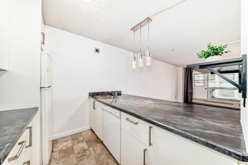 1403-221 6 Avenue Se, Calgary, AB 