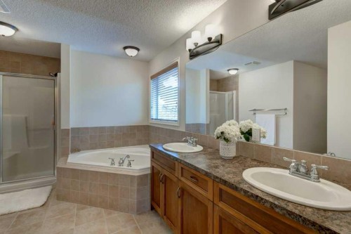 8 Crystal Green Grove, Okotoks, AB 
