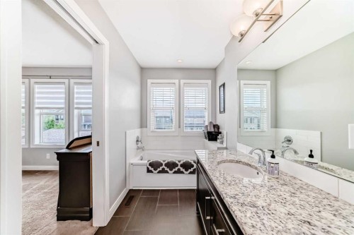246 Cooperswood Green Sw, Airdrie, AB - Indoor Photo Showing Bathroom