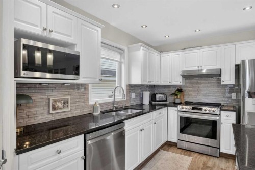 3271 Douglasdale Boulevard Se, Calgary, AB - Indoor Photo Showing Kitchen With Stainless Steel Kitchen With Double Sink With Upgraded Kitchen